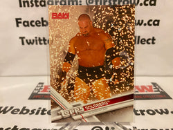 2017 Topps WWE Wrestling Card #18 Goldberg