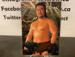 Kensuke Sasaki 1998 BBM Sparkling Fighters Wrestling Card