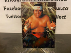 Shinya Hashimoto 1998 BBM Sparkling Fighters Wrestling Card