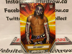 2019 WWE Summerslam #34 Jeff Hardy