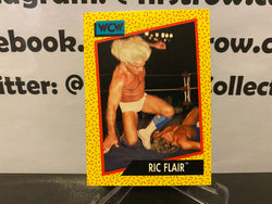 Ric Flair 1991 WCW Impel Card #41