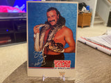 1989 WWF JAKE THE SNAKE ROBERTS Superstars Of Wrestling Post Card RARE