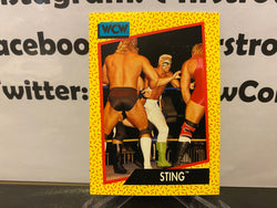 Sting 1991 WCW Impel Card #1