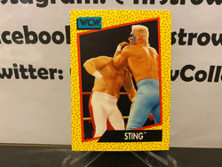 Sting 1991 WCW Impel Card #3