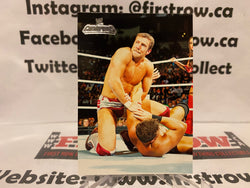 2011 WWE Champions #75 Daniel Bryan